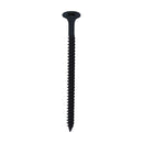 TIMCO Drywall Fine Thread Bugle Head Black Screws-12