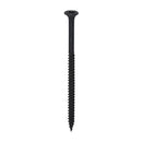 TIMCO Drywall Fine Thread Bugle Head Black Screws-19