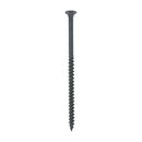 TIMCO Drywall Coarse Thread Bugle Head Black Screws-1