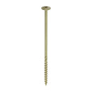 TIMCO Wafer Head Exterior Green Timber Screws-9