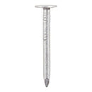 Clout Nail - Galvanised-4