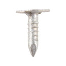 Clout Nail ELH - Galvanised-4