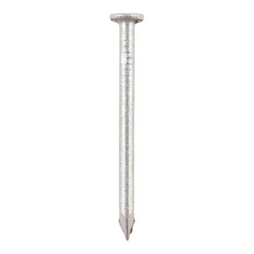 Round Wire Nail - Galvanised