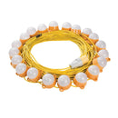 Defender 100W LED Encapsulated Festoon String Lights 50m-1