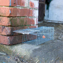 Fixman Rat Cage Trap-4