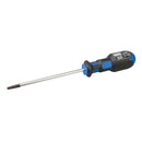 King Dick Slotted Electricians Screwdriver-1