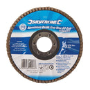 Silverline Aluminium Oxide Flap Disc-2
