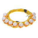 Defender 50W LED Encapsulated Festoon String Lights 22m-1