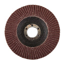 Silverline Aluminium Oxide Flap Disc-1