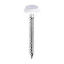 TIMCO Polymer Headed Nails - White-1