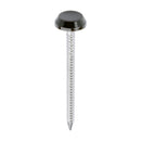 TIMCO Polymer Headed Nails - Mahogany-1