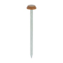 TIMCO Polymer Headed Nails - Clay Brown-2