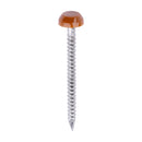 TIMCO Polymer Headed Pins - Clay Brown-1
