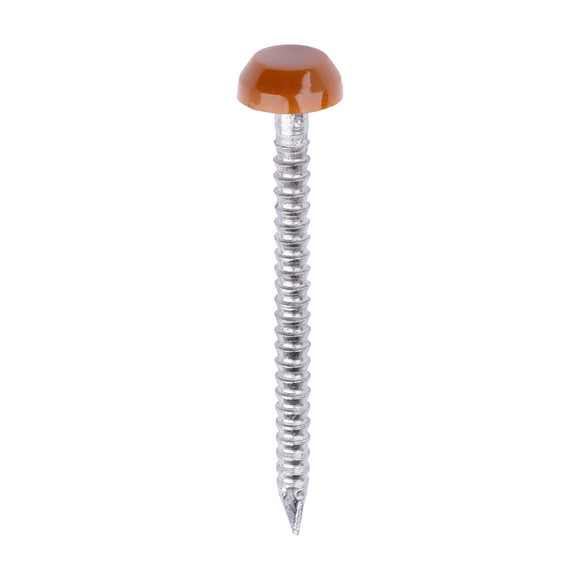 TIMCO Polymer Headed Pins - Clay Brown