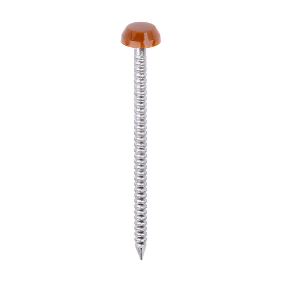TIMCO Polymer Headed Pins - Clay Brown