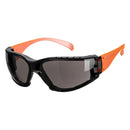 Wrap Around Plus Safety Glasses-4