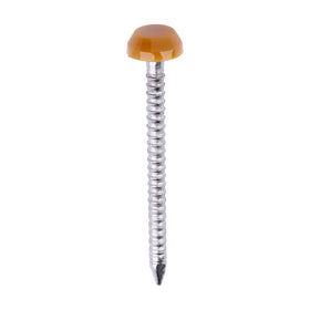 TIMCO Polymer Headed Pins - Oak