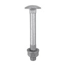 Carriage Bolt Exterior - SO-2