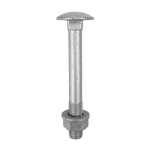 Carriage Bolt Exterior - SO