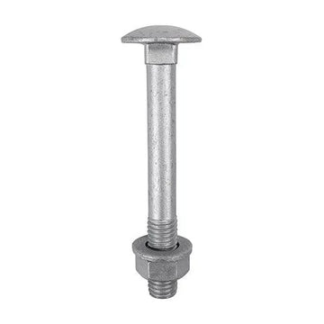 Carriage Bolt Exterior - SO