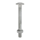 Carriage Bolt & Hex Nut - HDG-1