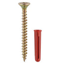 Screws & Red Plastic Plugs-11