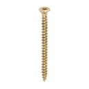 TIMCO Velocity Premium Multi-Use Countersunk Gold Woodscrews-2