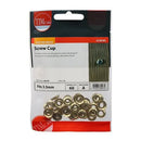 TIMCO Screw Cups Electro Brass-3