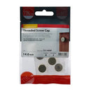 TIMCO Threaded Screw Caps Solid Brass Polished Brass-4
