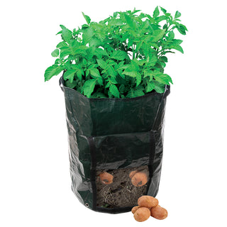 Potato Planting Bag Toolstream