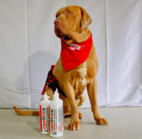 Chipstick D4 Glue PU Foaming Chipboard Flooring Adhesive STICK 2